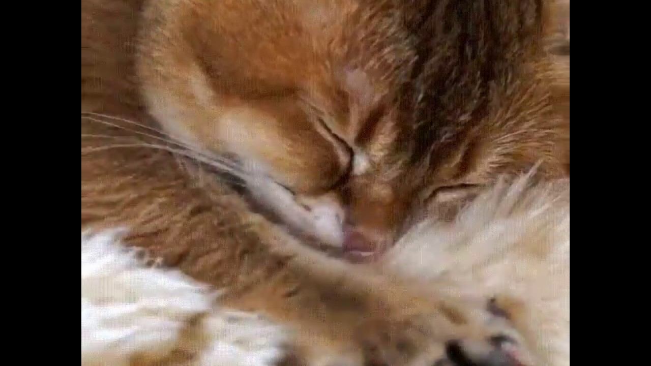 Релакс...после трудовой учебной недели, а как расслабляетесь Вы? Пишите в комментарии! смотреть онлайн