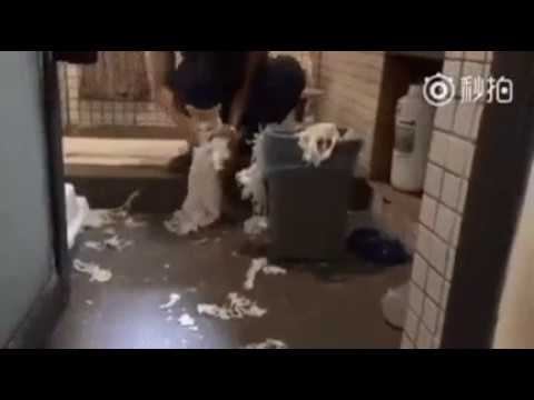 Уроки труда! смотреть онлайн