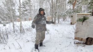 Зимний визит к диким пчелам