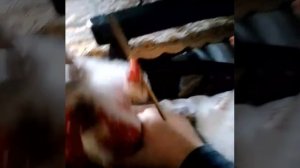 1 серия комедия деда мороза