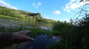 Рыбалка из детства. Активный клёв карася на поплавочную удочку.