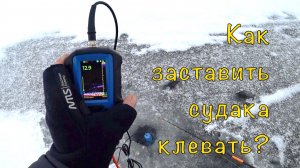 Купил зимний эхолот. Теперь одни вопросы.