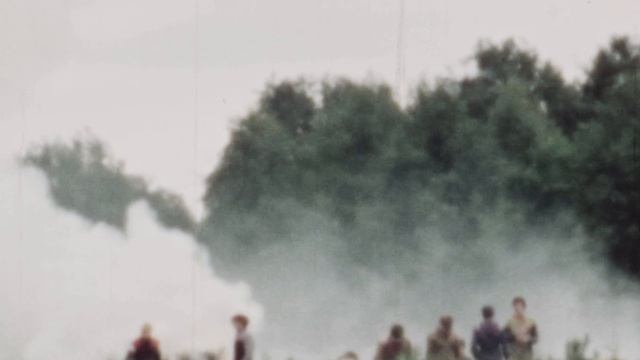 ЛПА 87. Елочки