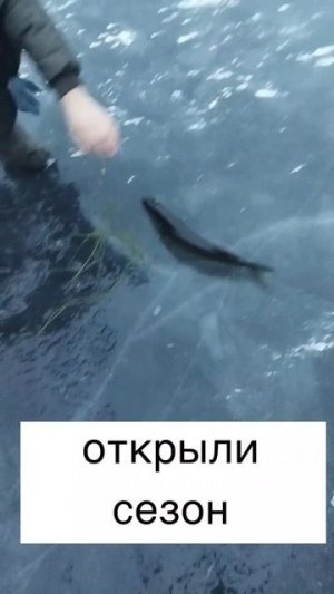 Рыбалка в Карелии на лесном озере