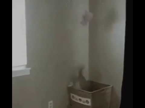 Пятерка по физкультуре смотреть онлайн