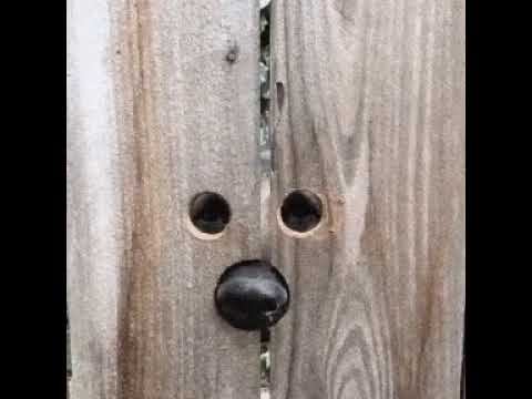 Изобретение для любопытных. Ну как Вам? смотреть онлайн