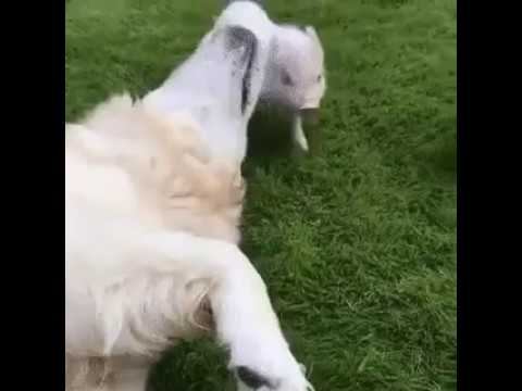 Давай играть... смотреть онлайн