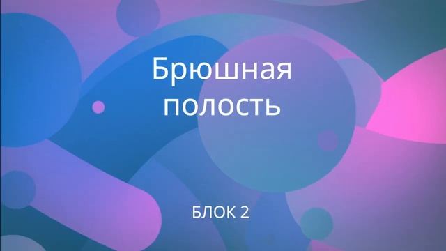 Презентация программы ВидеоПрактикум