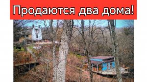#170 Продаются два дома, на краю леса, в предгорье Кавказских гор.