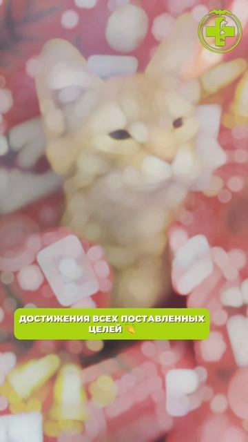 С новым годом смотреть онлайн