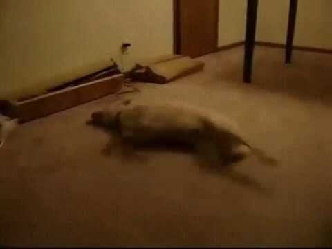 После рабчего дня смотреть онлайн