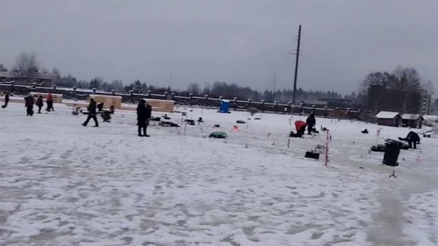 video_2025-12-28_10-32-15 смотреть онлайн