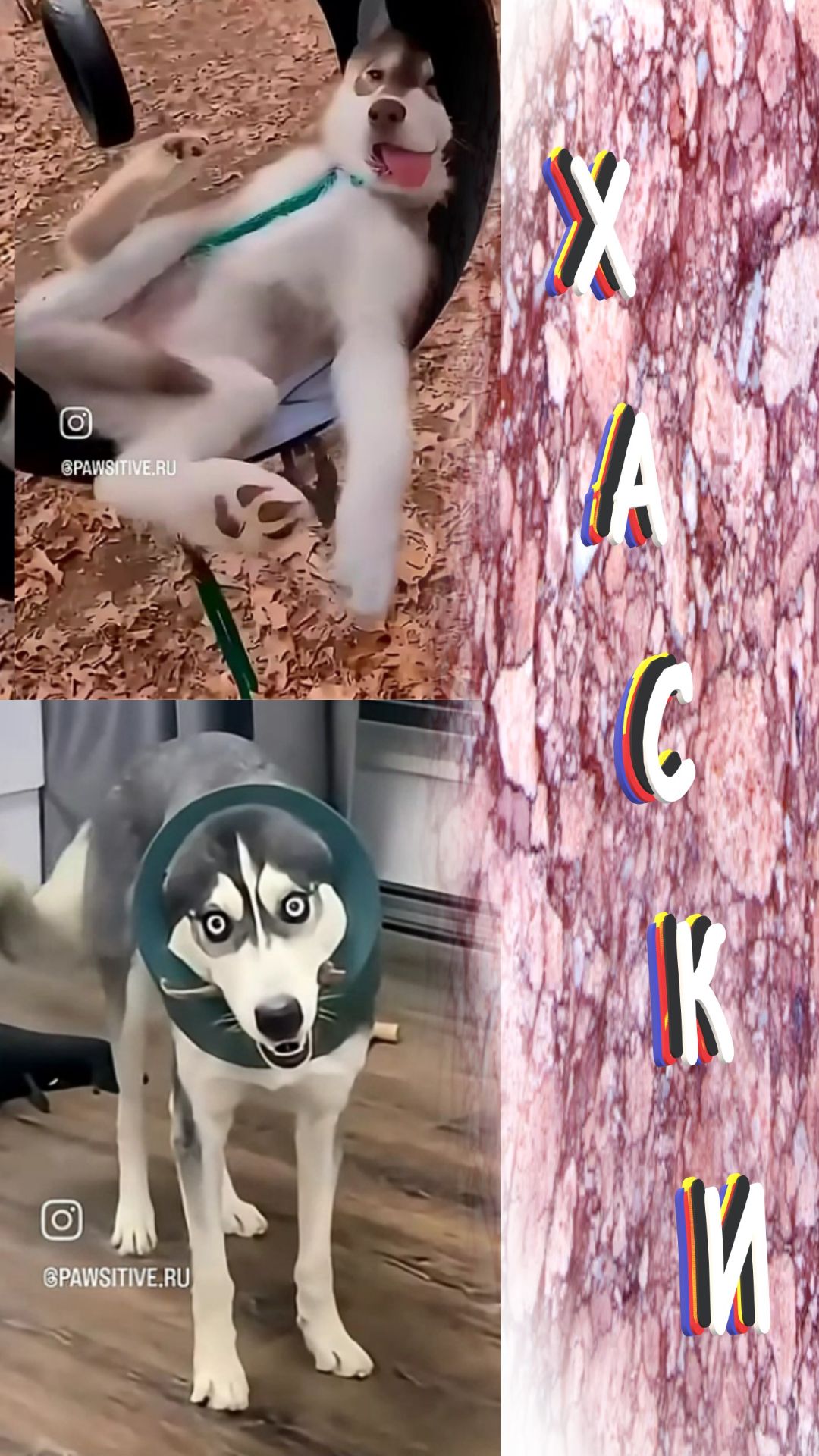 ХАСКИ смотреть онлайн