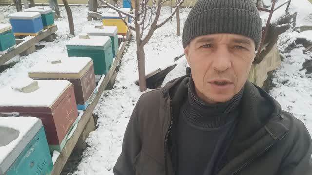 Готовимся к расширению пасеки смотреть онлайн