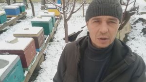 Готовимся к расширению пасеки