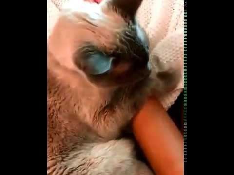 Только с тобой! смотреть онлайн