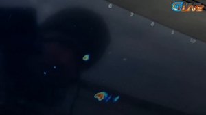 Трофейная щука 17.460гр.