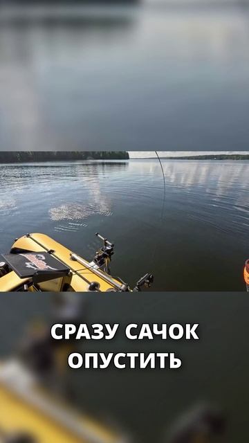 Хороший СУДАК на спиннинг до 16 ГРАММ смотреть онлайн