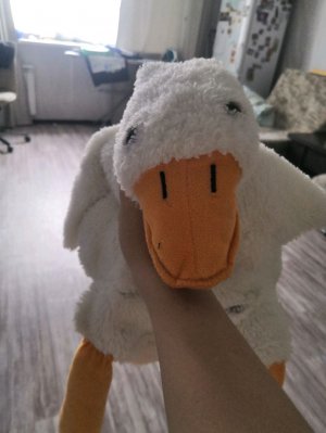 Название:название