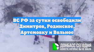 ВС РФ освободили Димитров, Родинское, Артемовку и Вольное в ДНР