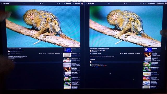 HDR vs SDR: сравниваем яркость, цвет и контраст смотреть онлайн