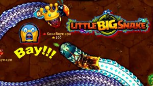 🐍Little Big Snake🐞Я забираю кроны 👑 у ПОВСТАНЦЕВ и набираю массу в 1,9 миллиона. 😍👍