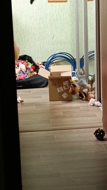 Миссия выполнима за 1,5 минуты!
