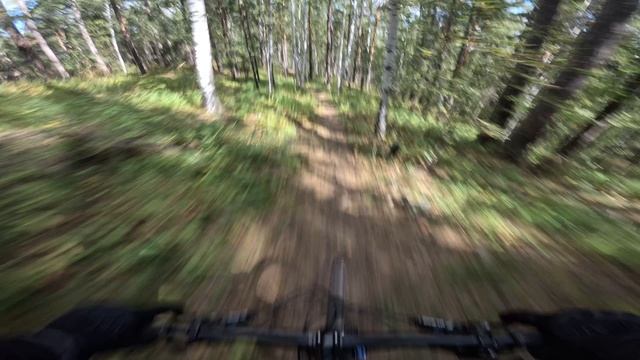 MTB_Егоза_Годзилла_2025