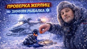 ЗИМНЯЯ РЫБАЛКА НА ЖЕРЛИЦЫ ❄️ Проверка снастей после ночи