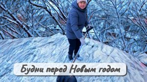 Будни перед Новым годом