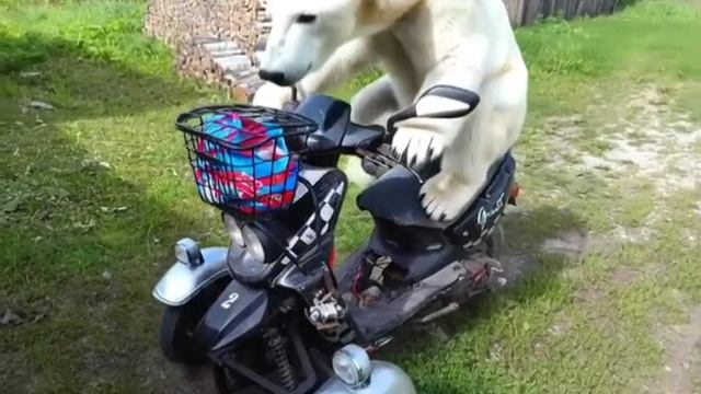 угон скутера смотреть онлайн