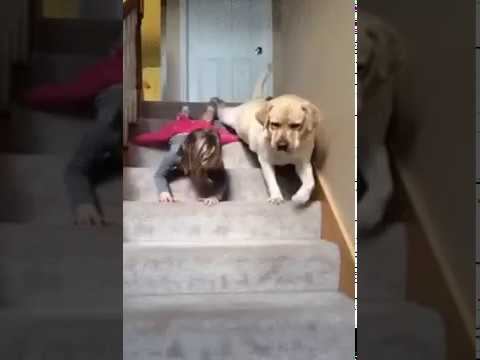 Соревнования на ступеньках смотреть онлайн