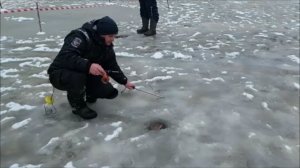 В актив работают как блёсны, так и раттлины. Клёвое место, Лосиный остров, нижний водоём.