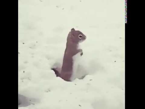 Конец учебного года... смотреть онлайн