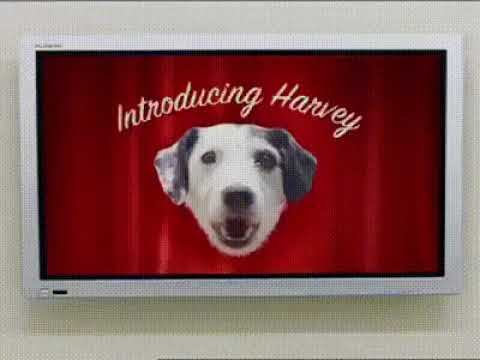 Видео...великая сила! смотреть онлайн