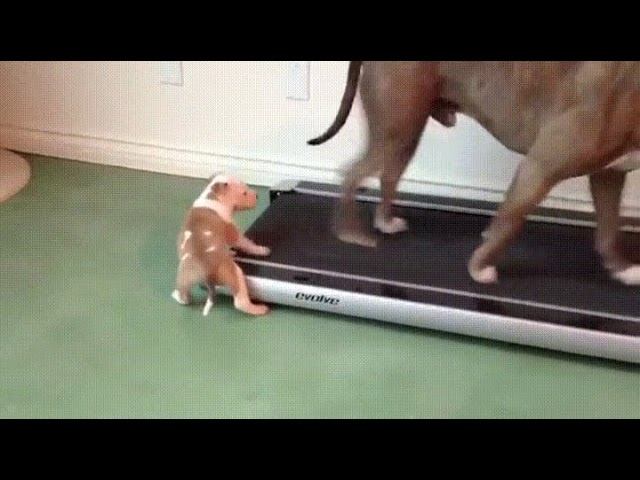 Скоро новый год, пора готовиться! смотреть онлайн