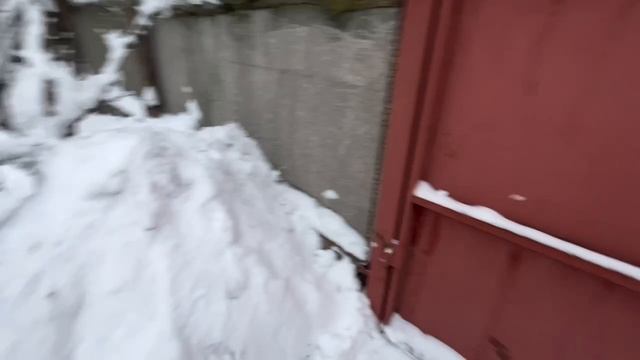 Дом расположен на опушке соснового леса. смотреть онлайн