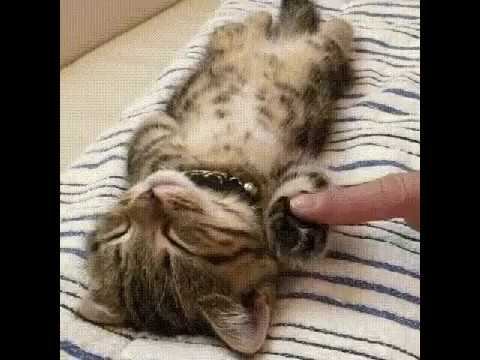 После трудовой недели в школе смотреть онлайн