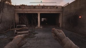 С.Т.А.Л.К.Е.Р. 2 -Аномальная активность №19