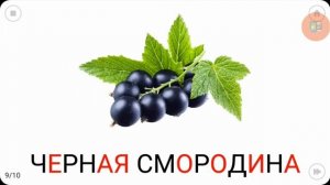 🌻Сборник!🌟 НОВЫЕ Карточки Домана, 🧸 Детеныши живот?