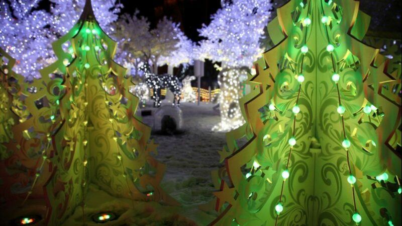 НОВОГОДНИЙ ВОЛШЕБНЫЙ ЛЕС смотреть онлайн