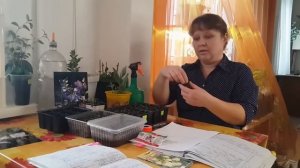 Выращивание эустом. Пошаговая инструкция. Часть 1. Матвеева Оксана