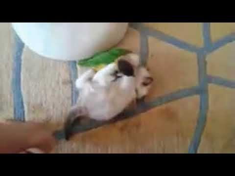 Борьба... смотреть онлайн