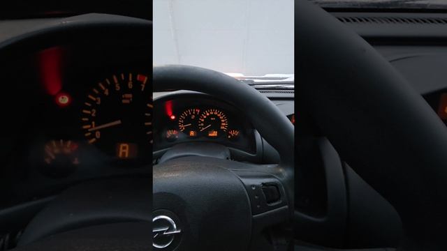 1000019869.mp4 смотреть онлайн