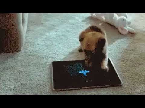 Многодетная мама смотреть онлайн