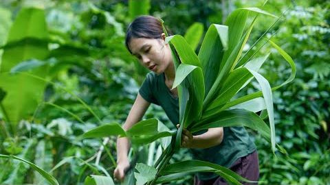 Уход за садом после тайфуна «Яги» — готовим пятицветные торты. смотреть онлайн