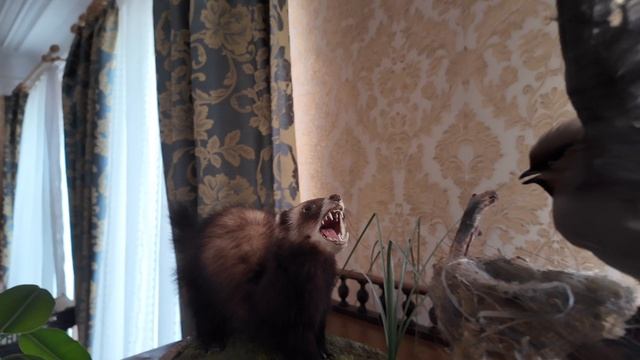 СЕЛО ВЯТСКОЕ САМОЕ КРАСИВОЕ СЕЛО ЯРОСЛАВСКОЙ ОБЛАСТИ