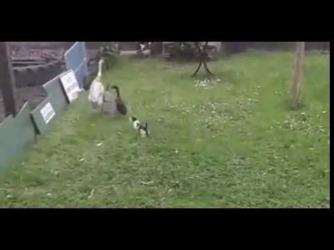 Дай списать! смотреть онлайн