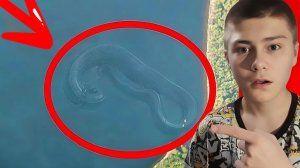 Самые НЕОБЫЧНЫЕ НАХОДКИ на Google-Картах !