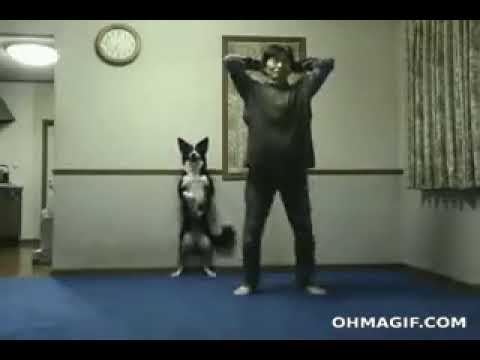 Тренировочка! смотреть онлайн